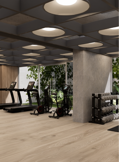 Gym
